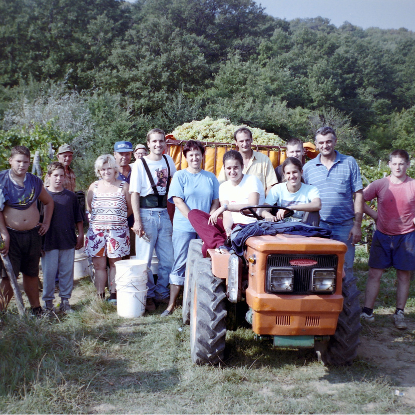 Denis Grosz - Harvesting Grapes with Family in Croatia